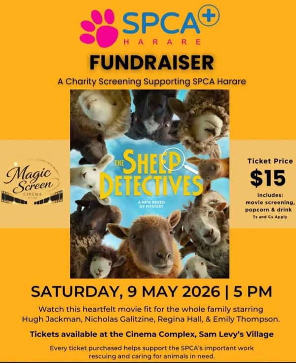 Sheep Detectives film